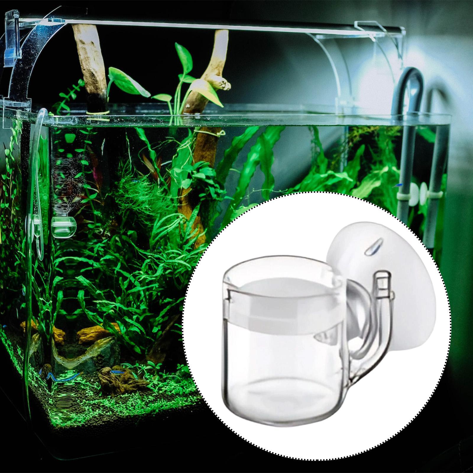 Aquarium Marine Plants - Aquarium Diffuser Glass CO2 System Kit