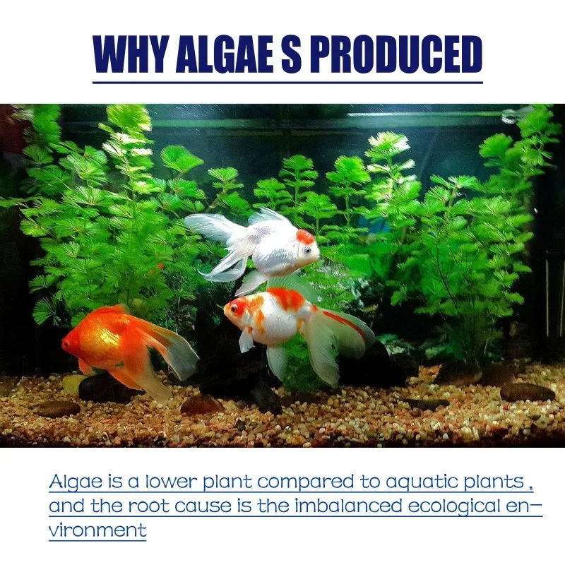 50g High Efficiency Algaecide  - Aquarium Marine Plants 评论和价格