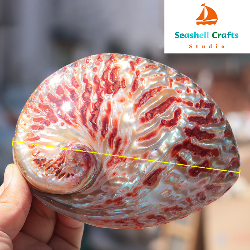 Home Decoration Red Pattern Ab - Marine Aquarium Decorations 评论和价格