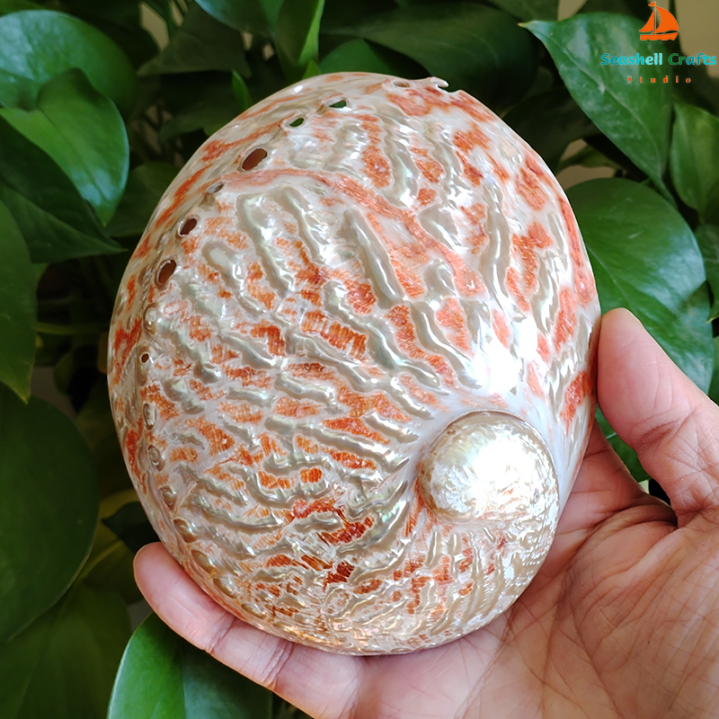 Home Decoration Red Pattern Ab - Marine Aquarium Decorations 评论和价格