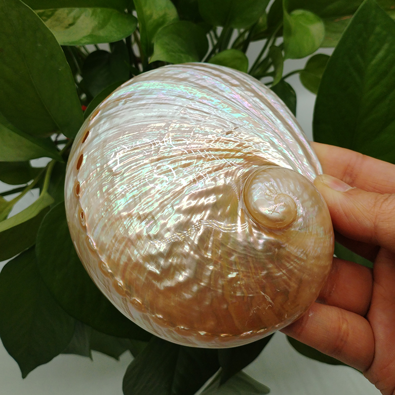 Home Decoration Red Pattern Ab - Marine Aquarium Decorations 评论和价格