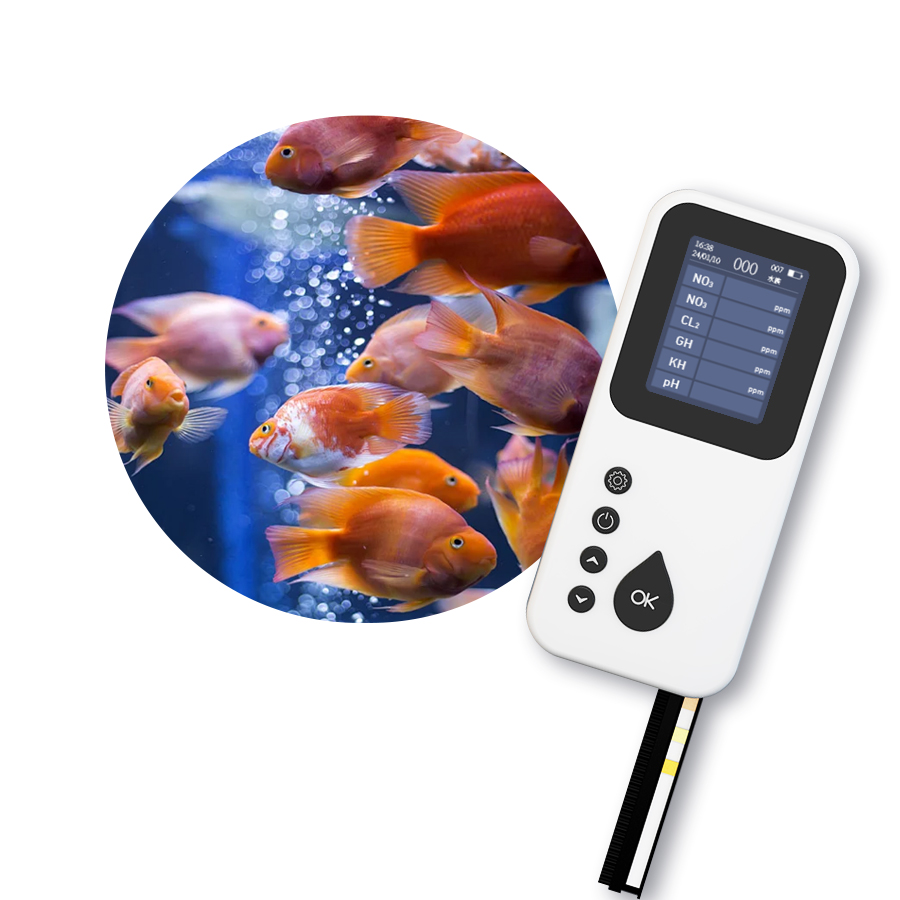 Portable TS-1000 Digital Water - Aquarium & Marine Museum Kota Kinabalu 评论和价格