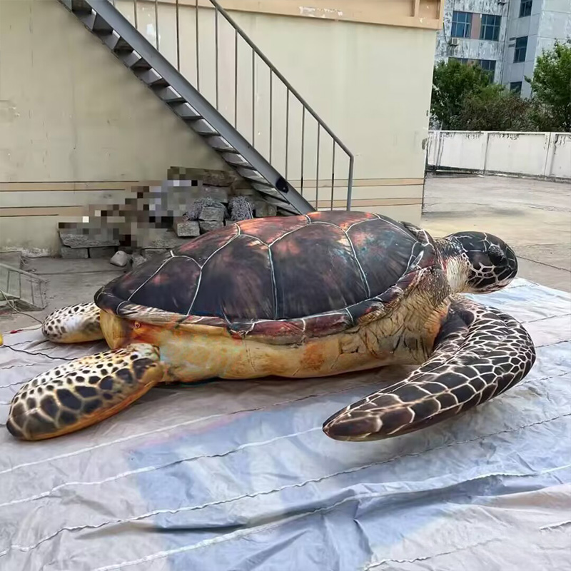Inflatable sea turtles, Marine - Aquarium Marine Shop 评论和价格