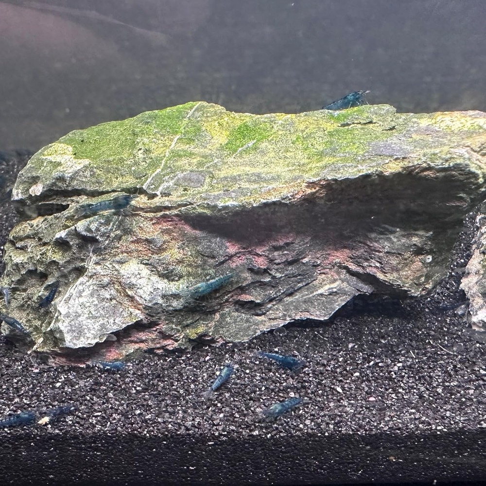 Black Aquarium Sand 2lbs, Fine - Aquarium Marine Plants 评论和价格