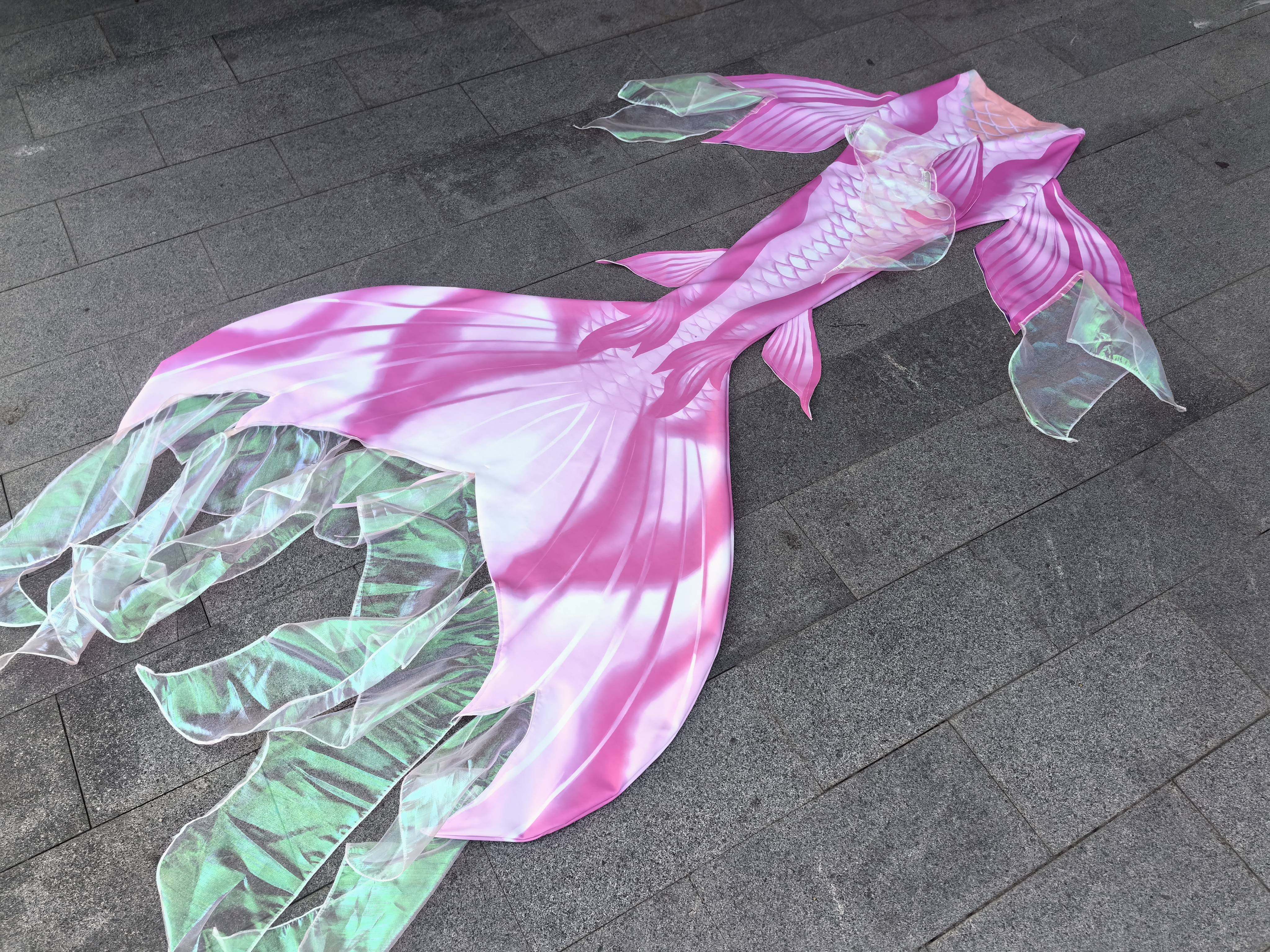 Mermaid Tail Swimsuit Aquarium - Aquarium & Marine Museum Kota Kinabalu 评论和价格