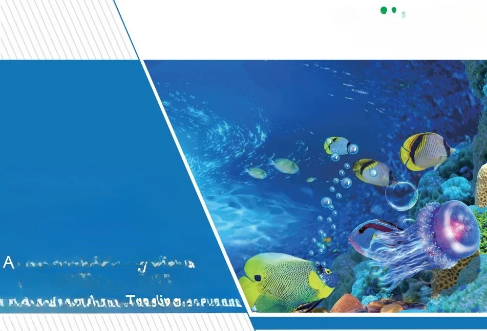 New Design Protein Skimming Aq - Marine Aquarium Design 评论和价格