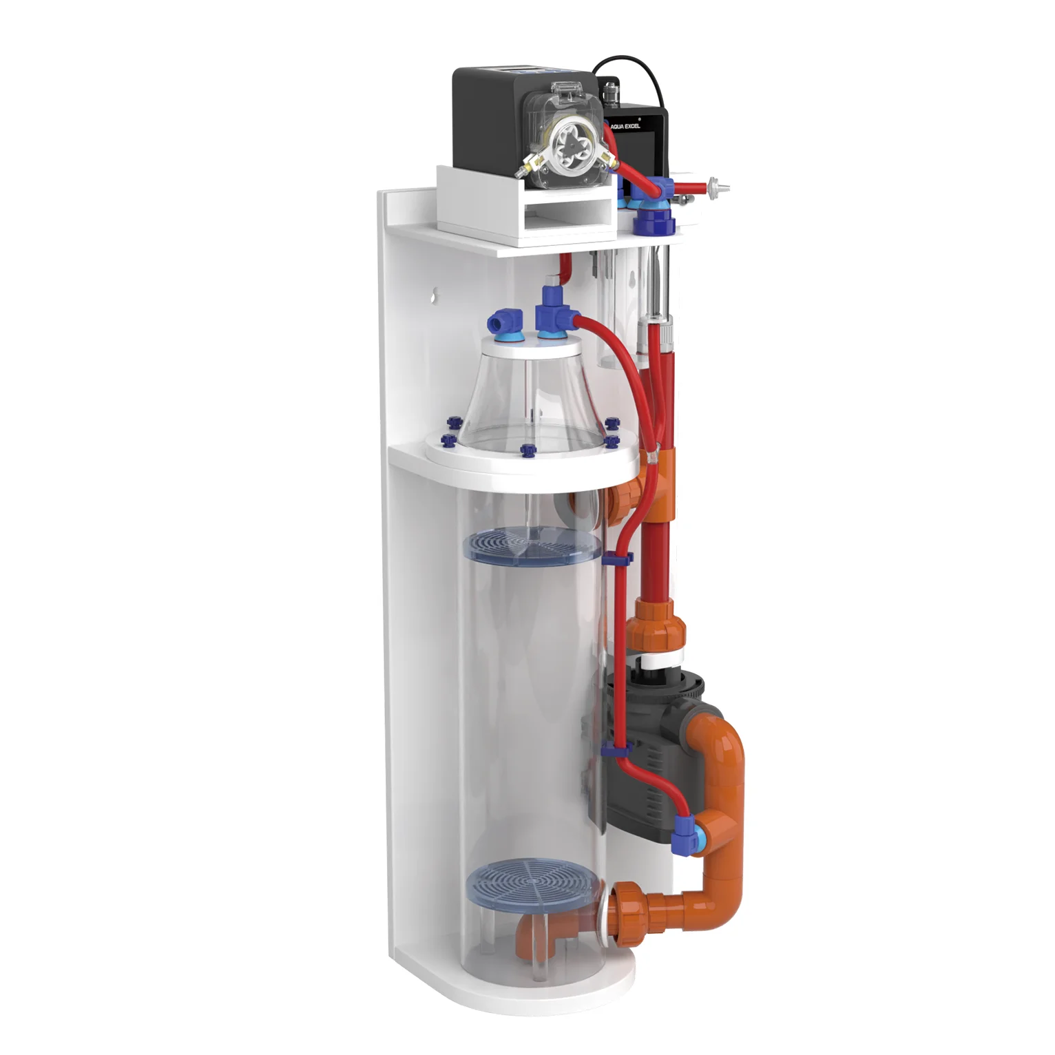 2026 Hot Selling AQUAEXCEL AE- - Aquarium & Marine Museum Kota Kinabalu 评论和价格
