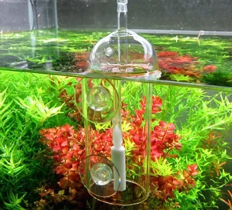 VIV Do Device Aquarium Cylinde - Aquarium Marine Plants 评论和价格