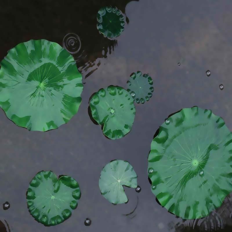 2026 Artificial Water Lily Lot - Aquarium Marine Plants 评论和价格