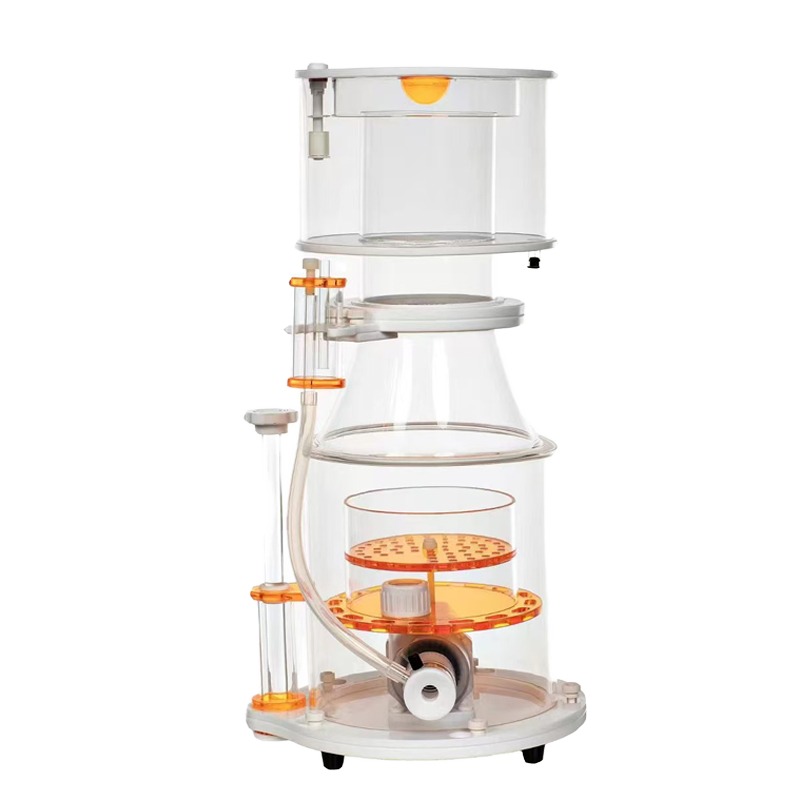 【Best-selling】DC Powered Preci - Aquarium & Marine Museum Kota Kinabalu 评论和价格