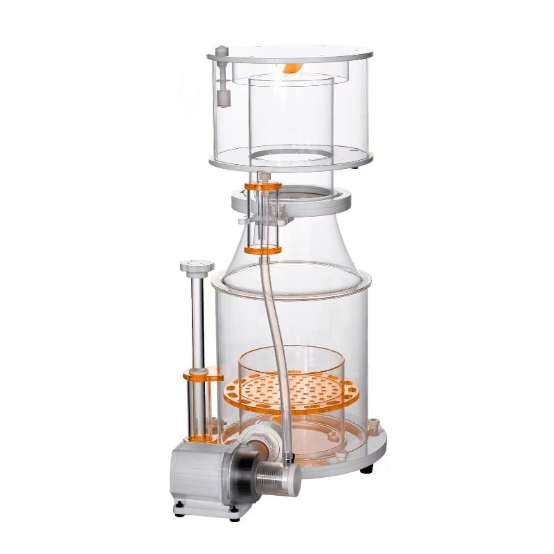 【Best-selling】DC Powered Preci - Aquarium & Marine Museum Kota Kinabalu 评论和价格