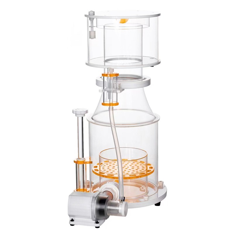 【Best-selling】DC Powered Preci - Aquarium & Marine Museum Kota Kinabalu 评论和价格