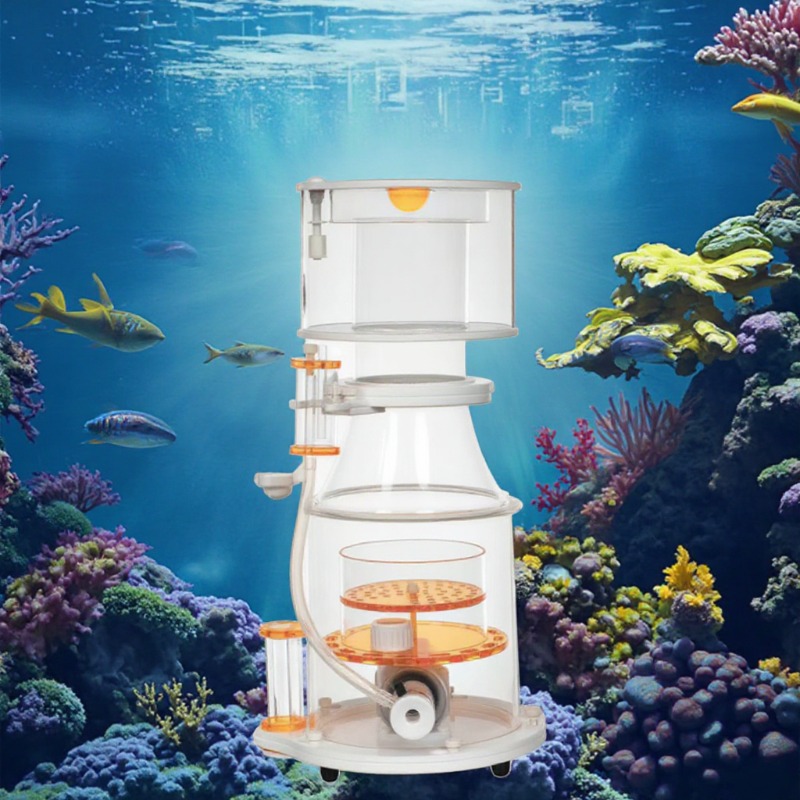 【Best-selling】DC Powered Preci - Aquarium & Marine Museum Kota Kinabalu 评论和价格