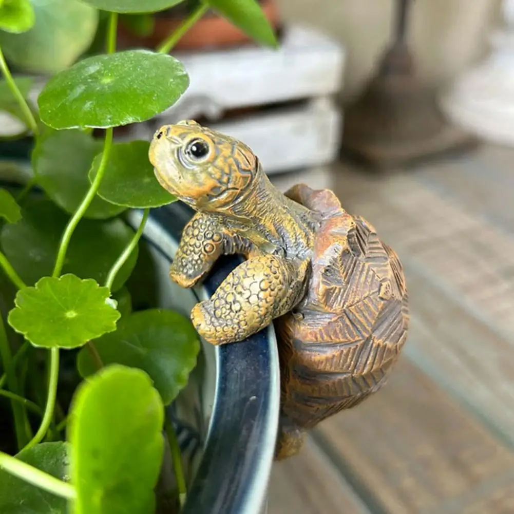 Fishing Turtle Hanging Turtle  - Aquarium Marine Plants 评论和价格