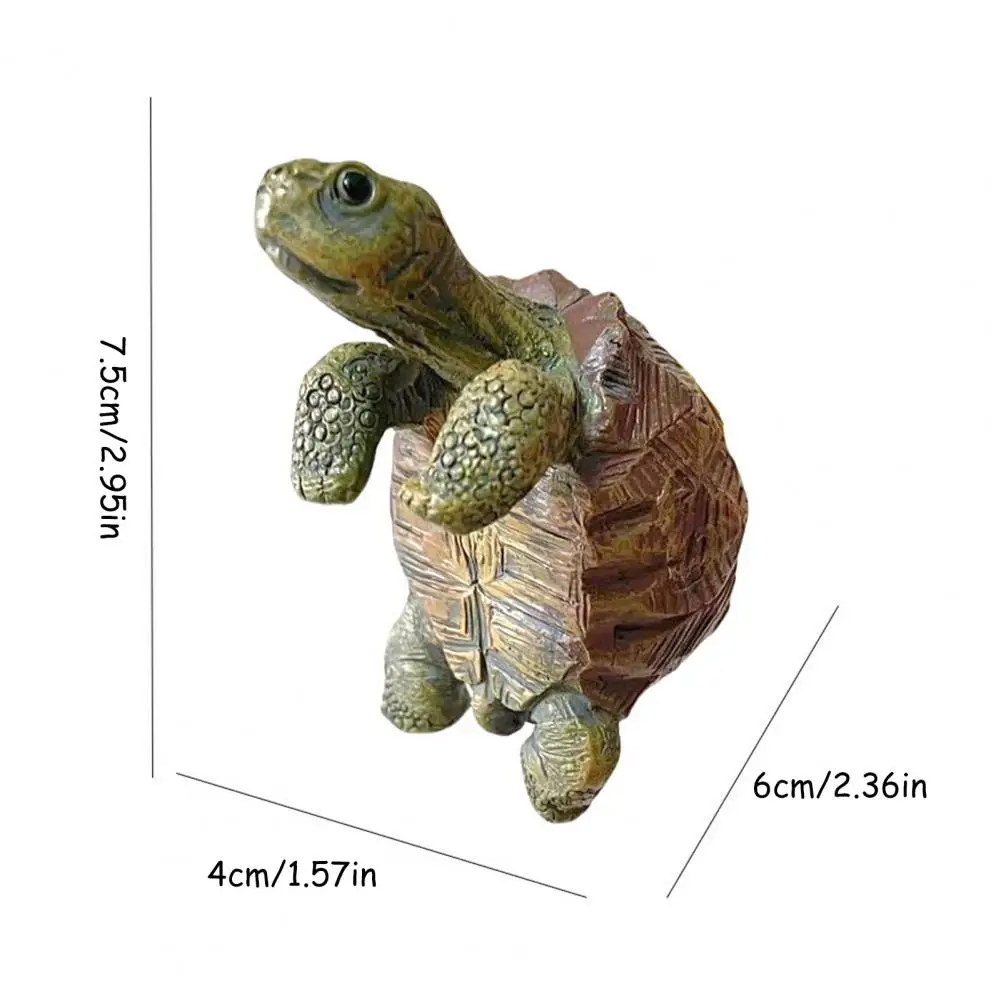 Fishing Turtle Hanging Turtle  - Aquarium Marine Plants 评论和价格