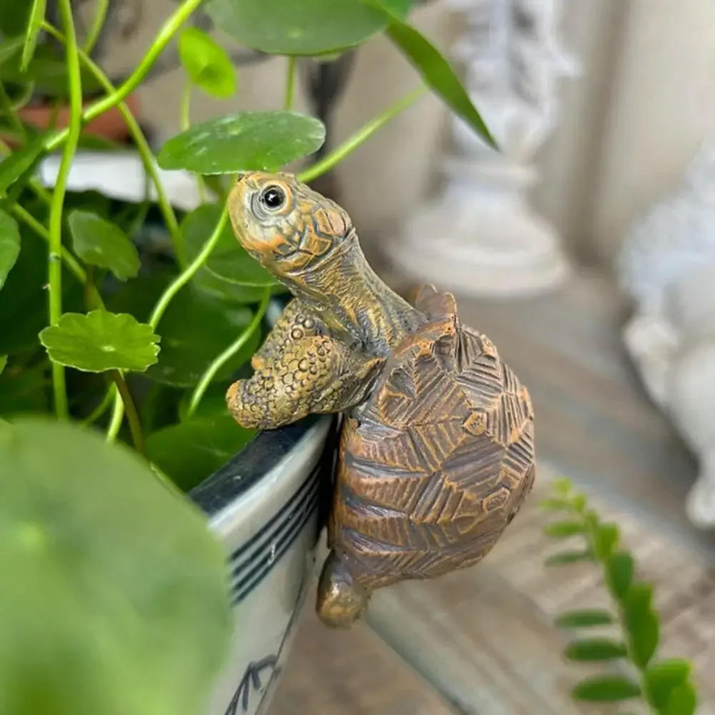 Fishing Turtle Hanging Turtle  - Aquarium Marine Plants 评论和价格