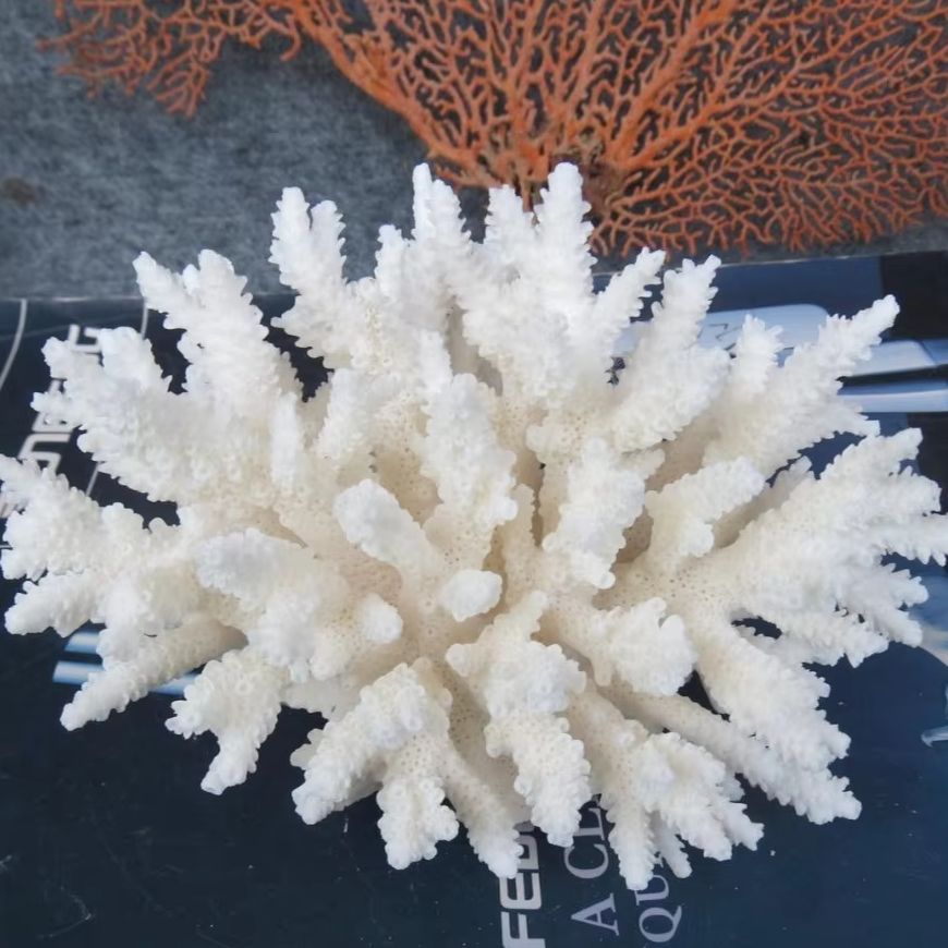1pc Natural White Coral Cluste - Marine Aquarium Decorations 评论和价格