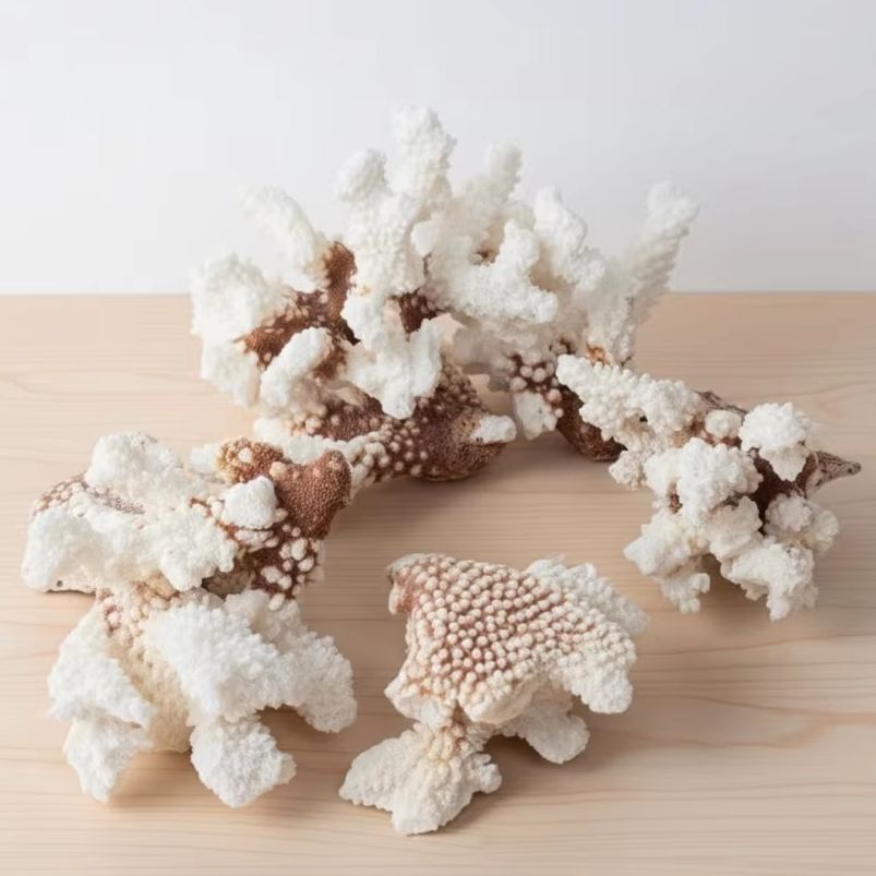 1pc Natural White Coral Cluste - Marine Aquarium Decorations 评论和价格