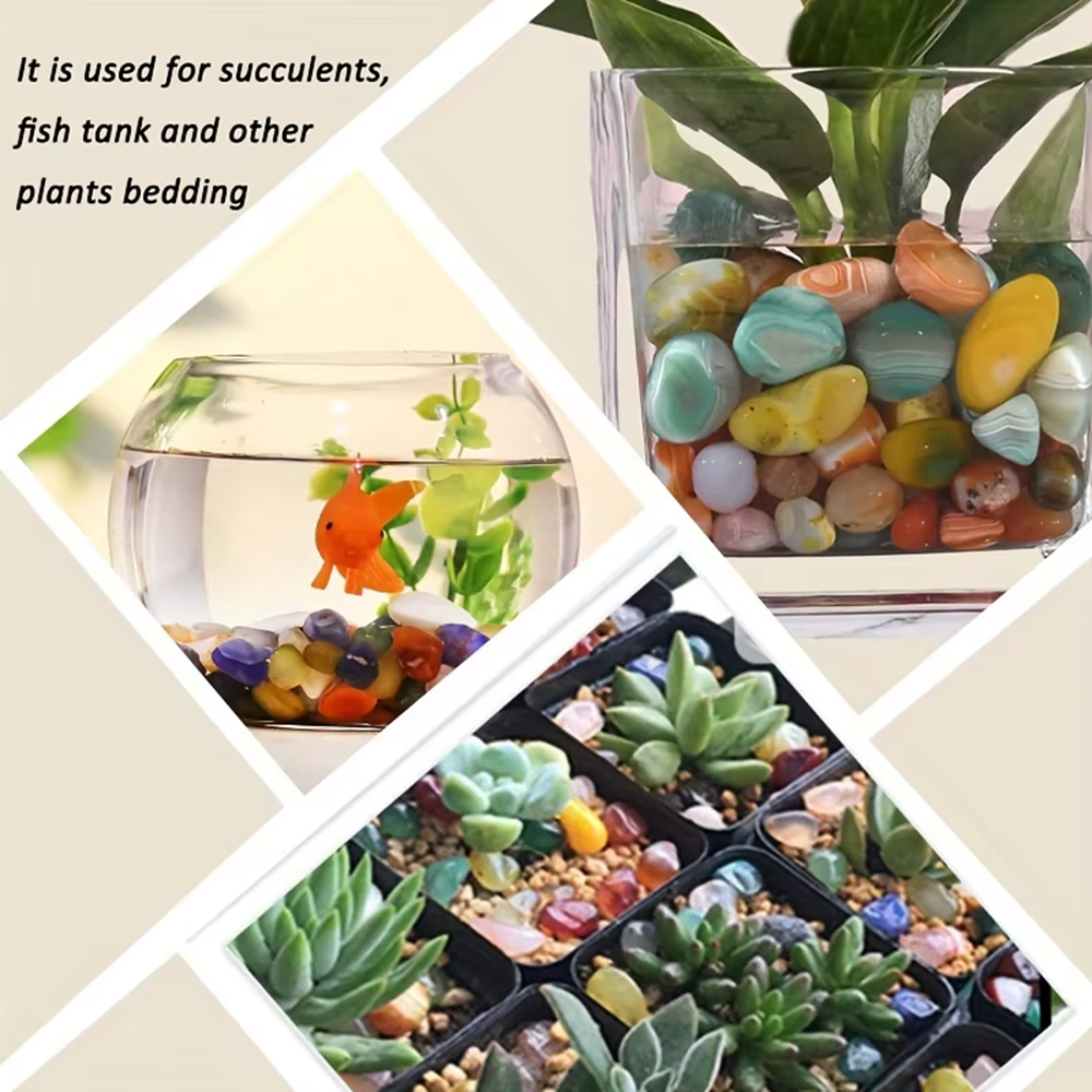 Natural Stone Tumbled Agate Gr - Aquarium Marine Plants 评论和价格
