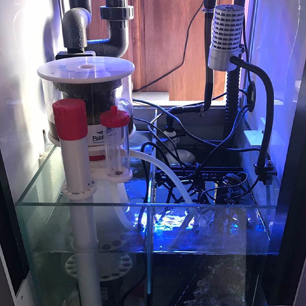 220V Bubble Magus Curve5 Aquar - Protein Skimmer Hang On 评论和价格