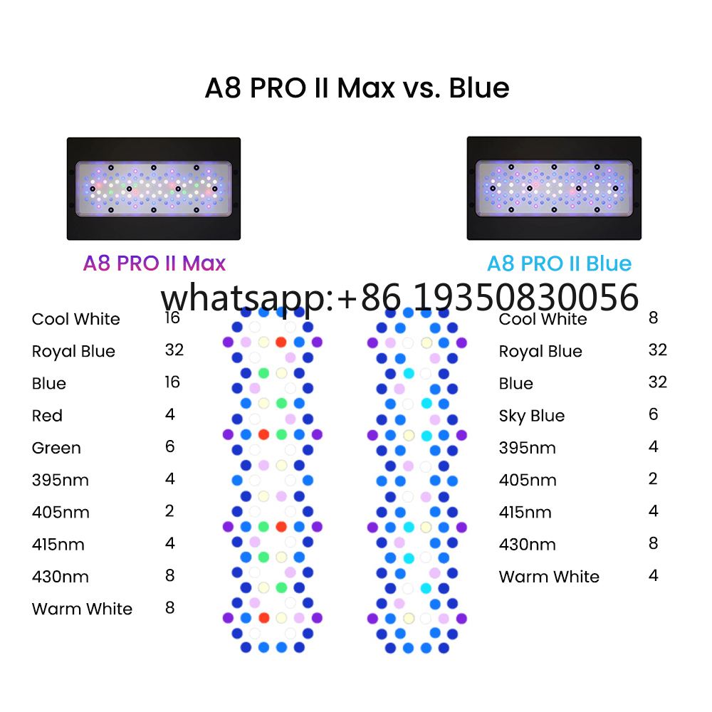 2026-A8 PRO II Max and Blue 24 - Aquarium & Marine Museum Kota Kinabalu 评论和价格