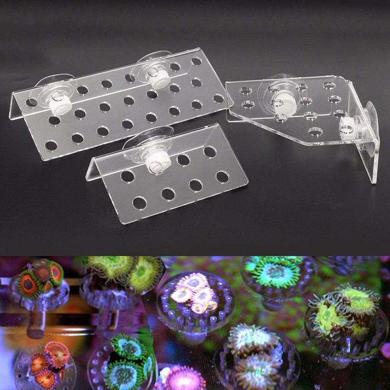 Coral Frag Rack SPS Acrylic Ma - Marine Aquarium Design 评论和价格