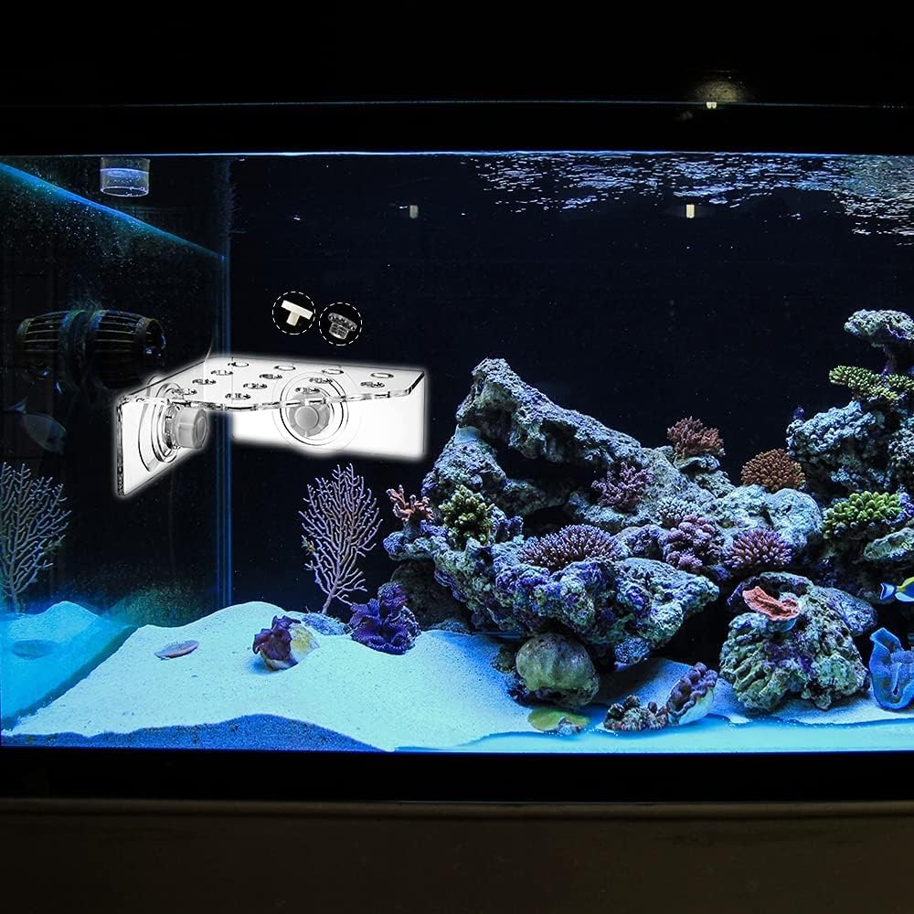 Coral Frag Rack SPS Acrylic Ma - Marine Aquarium Design 评论和价格