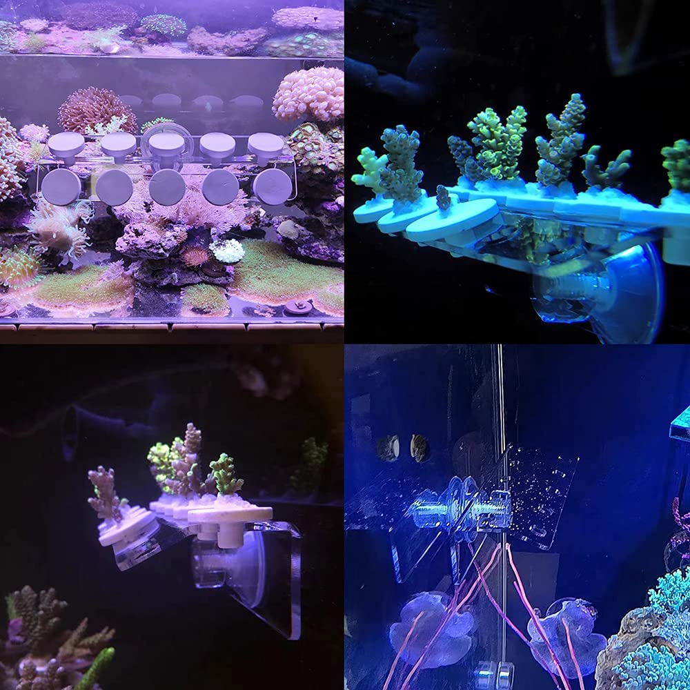 Coral Frag Rack SPS Acrylic Ma - Marine Aquarium Design 评论和价格