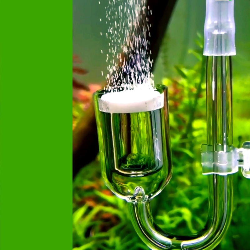 Nano CO2 Diffuser Glass Atomiz - Aquarium Marine Plants 评论和价格