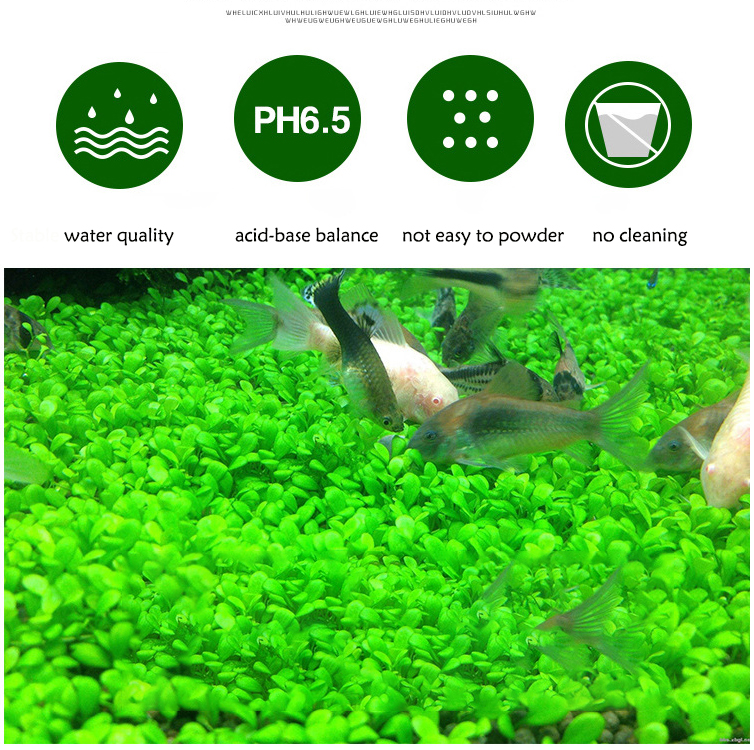 Aquarium Plant Seeds Soil Fish - Aquarium Marine Plants 评论和价格