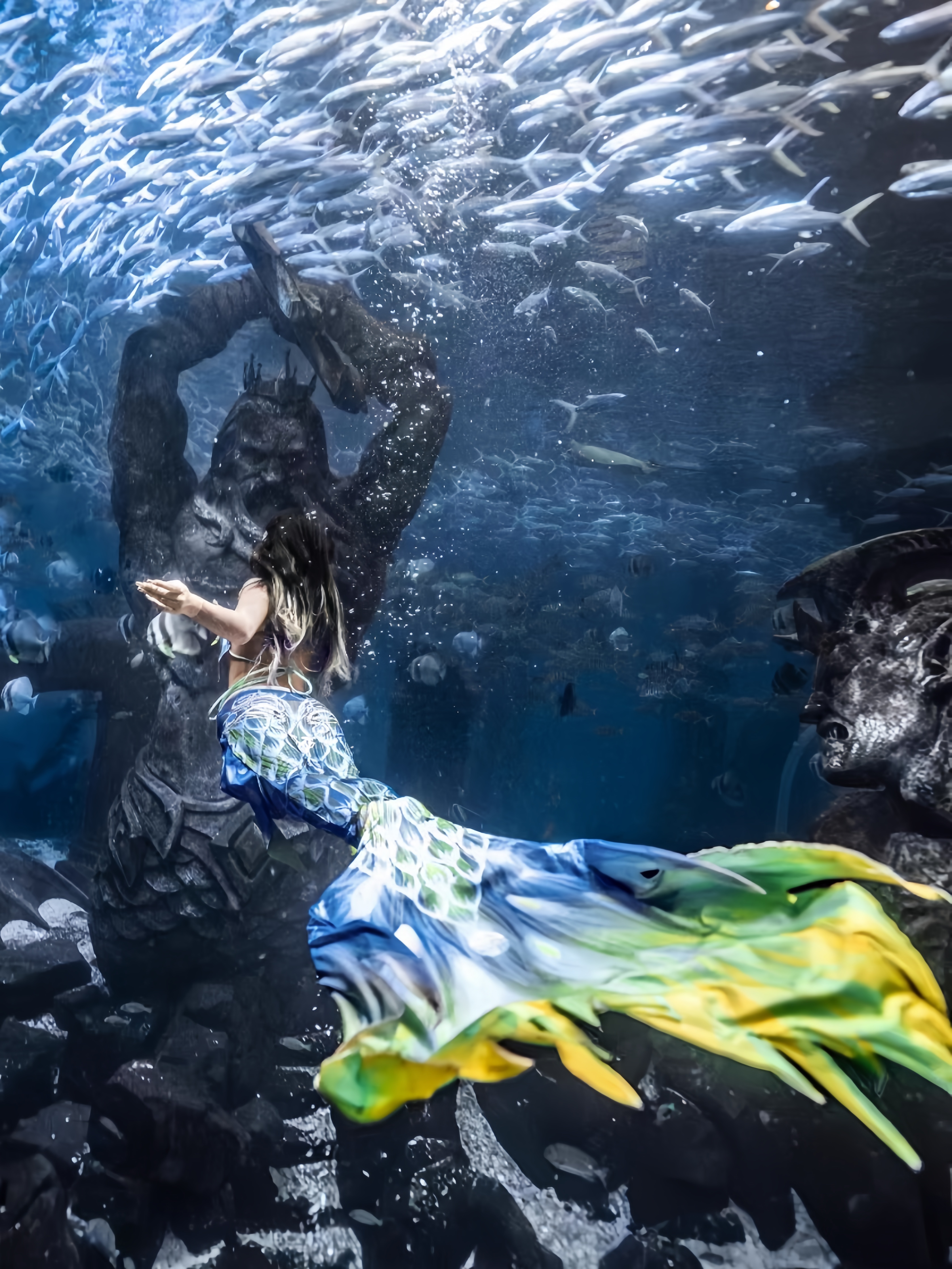 Mermaid Tail Adult Ladies Swim - Aquarium & Marine Museum Kota Kinabalu 评论和价格