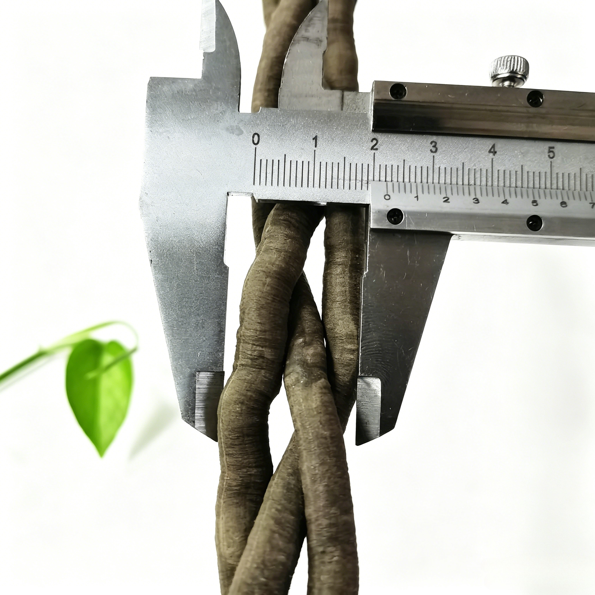 100cm Artificial Vine Plant Cl - Aquarium Marine Plants 评论和价格