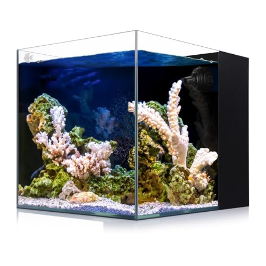 8-Gallon Saltwater Aquarium wi - Marine Aquarium Design 评论和价格